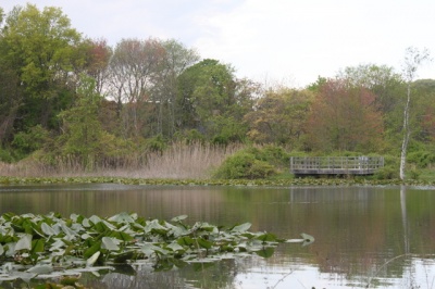 eibs_pond_2_400