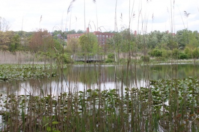 eibs_pond_park_pond_400_01
