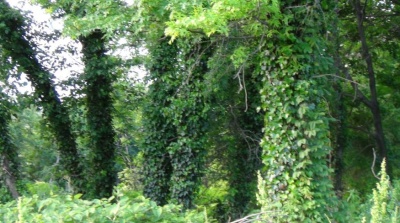 gqp1_400